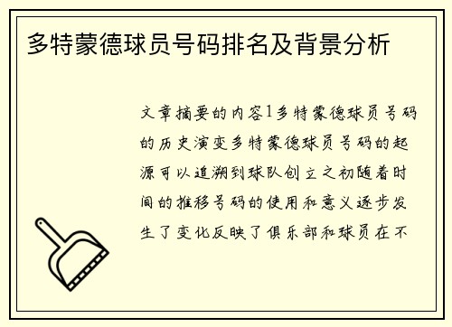 多特蒙德球员号码排名及背景分析