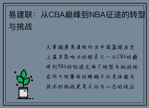 易建联：从CBA巅峰到NBA征途的转型与挑战
